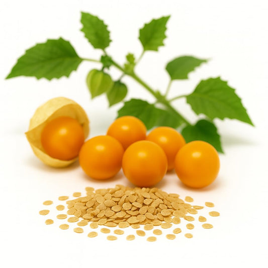 50 seeds Ground Cherry aka Strawberry Husk Tomato Physalis Pruinosa Tomatillo - Seeds Ville