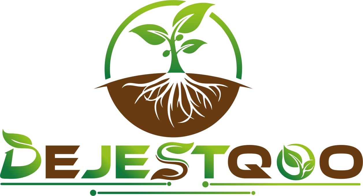 DEJESQOO (Cambo-4) Live rose flower plant Bears Flowers in 6 Months, Multicolour Great for Backyard Growing – Featuring Live Plant Varieties Rose Flower Plant for Home & Garden