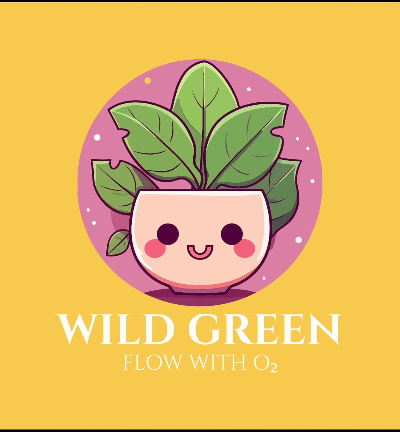 Wild Green Thai Four Season Longan Fruit Dragon Eye Fruit Plant Ashfal Grafted Live Plant Genuine Variety