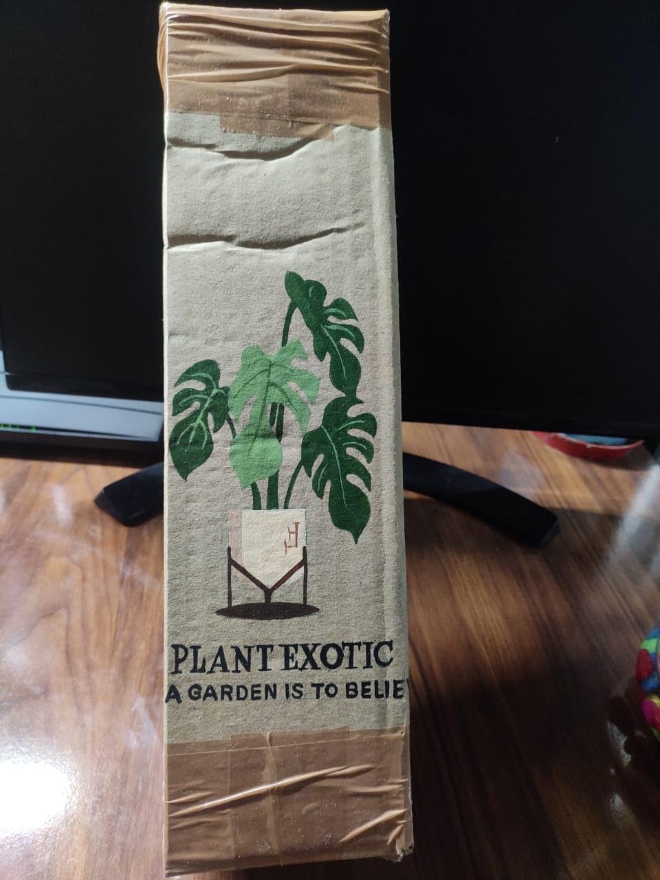 Seeds Ville Best Roses Color Flower Plant|Climbing Rose Plant |Healthy Live Wedding Party Flowering |Climbing Rose Fragrant Beautiful Plant|Special Fresh Flowers (Light Pink) - Seeds Ville