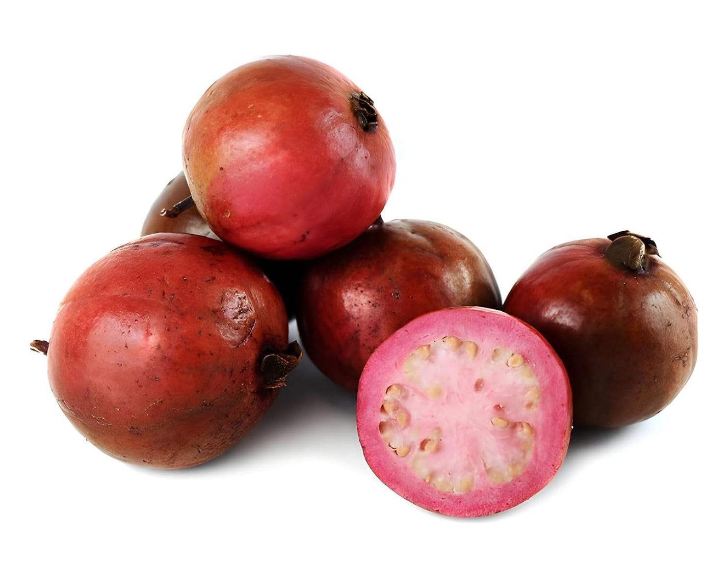 Gurveplantationi Potted Guava Plant Live Fruit Tree, Multiple Varieties (Pack of 1) (Apple Guava Plant) - Seeds Ville