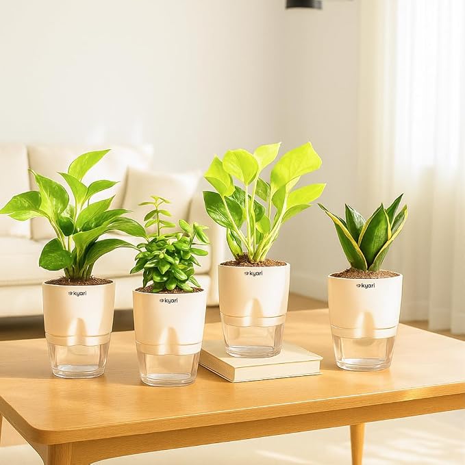Seeds Ville 4 Indoor Plant Set Self-Watering Pots Cream