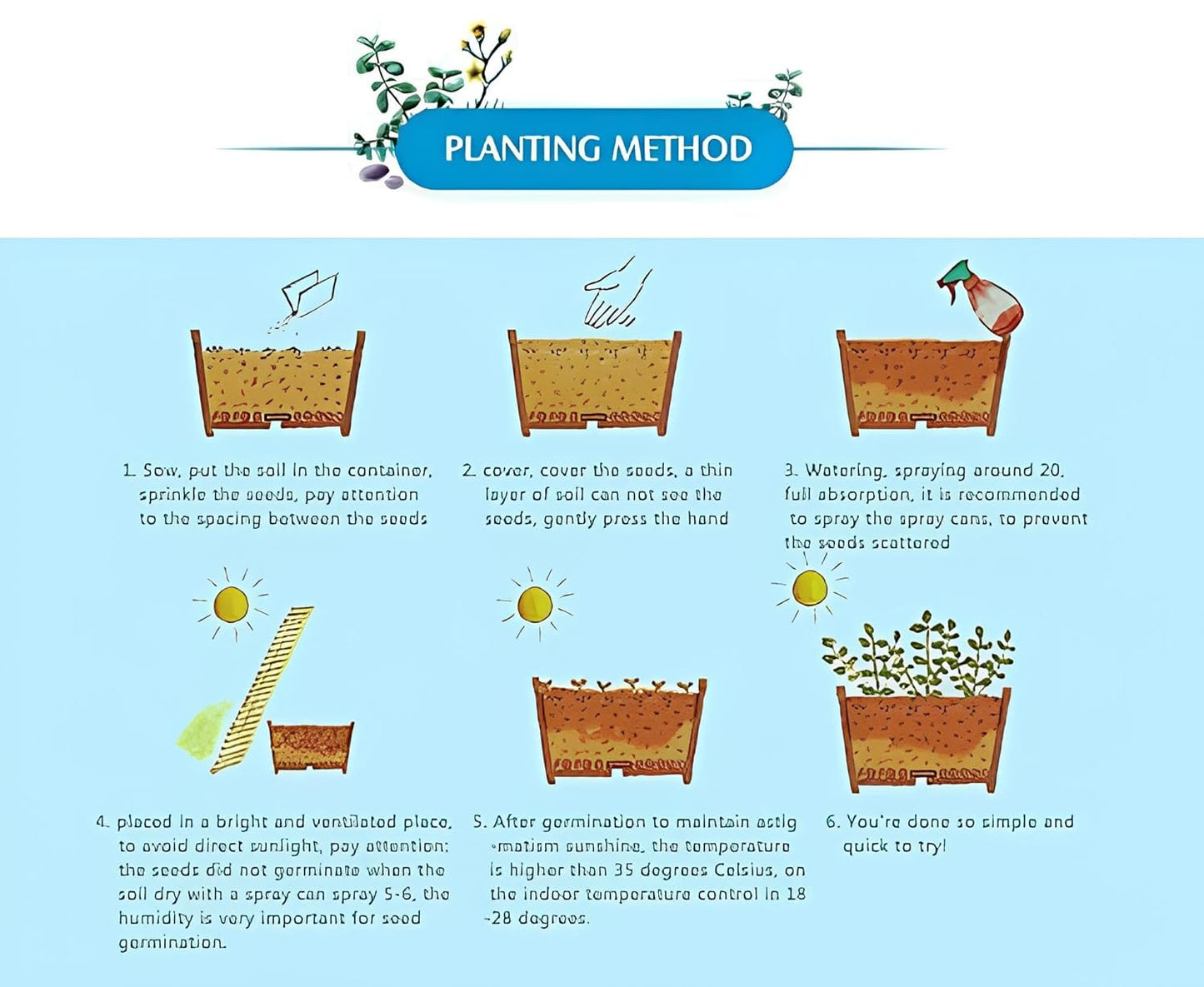 Hybrid Dwarf Fruit Seeds Combo Pack Apple, Grape, Guava, Orange 5 Seeds Each- Grow Indoor & Outdoor - Seeds Ville