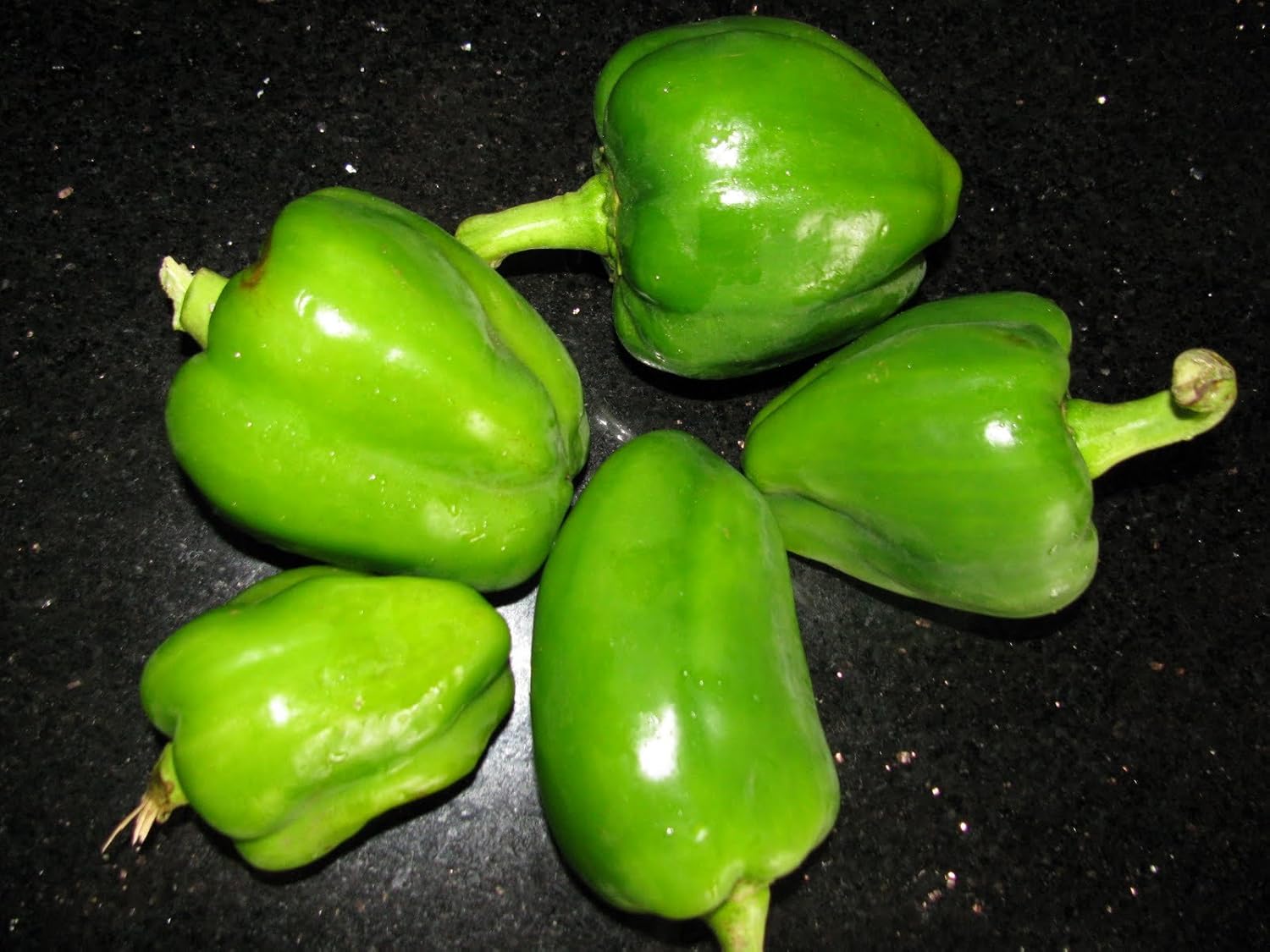 Chilli Seeds ,Capsicum(10 gms) - Seeds Ville