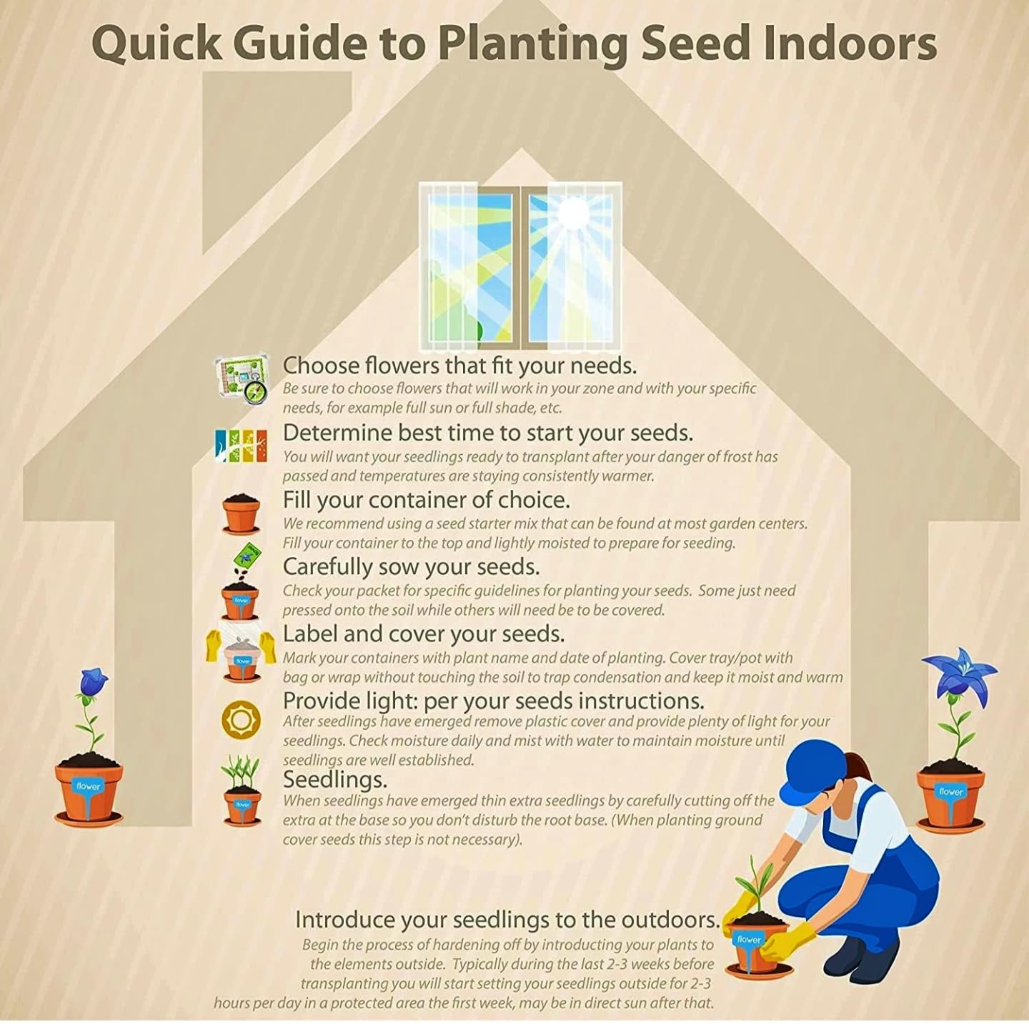 50 Seeds- Hybrid Compact Cosmos Mix Flower Seeds For Planting, Grow Year Round. Low Maintenance. Drought Tolerant - Seeds Ville