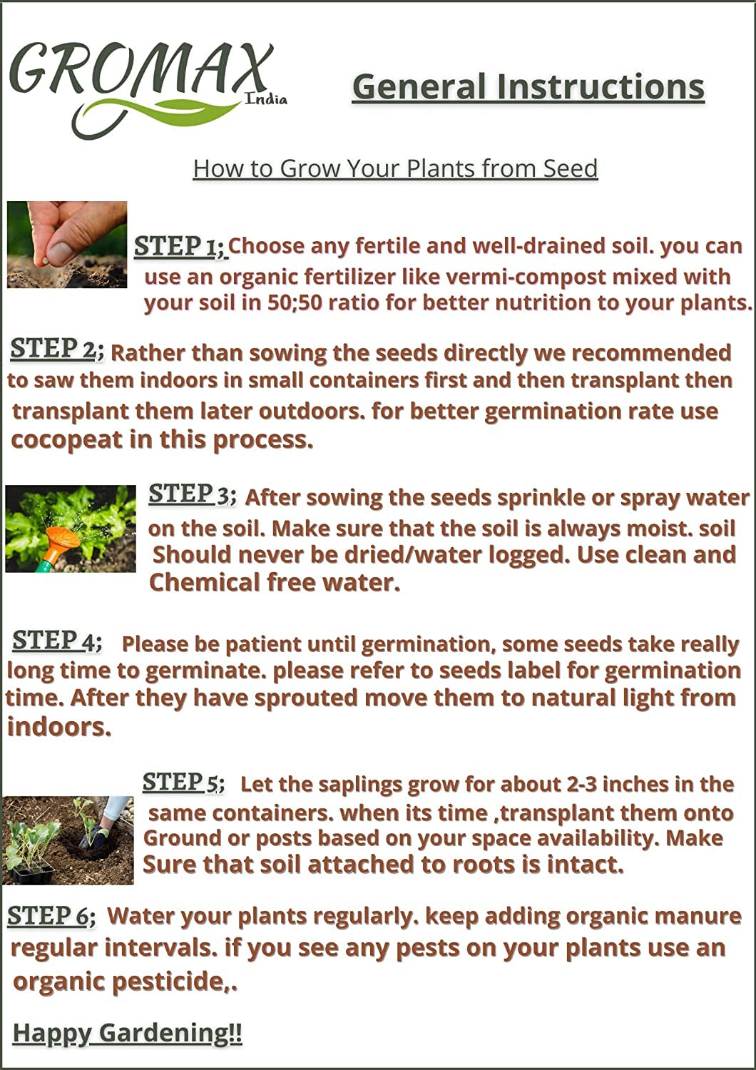 Squash Green zucchini Seed Hybrid Long Zuchhini Vegetable Seeds Best For Your Home Gardening - Seeds Ville