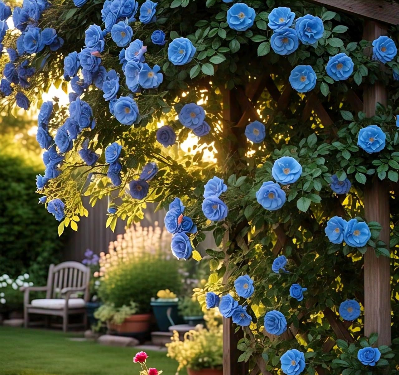 200+ SEEDS- Climbing Rose Flower Seeds Pack - Hybrid, Year-Round Blooms, Minimal Care (BLUE) - Seeds Ville
