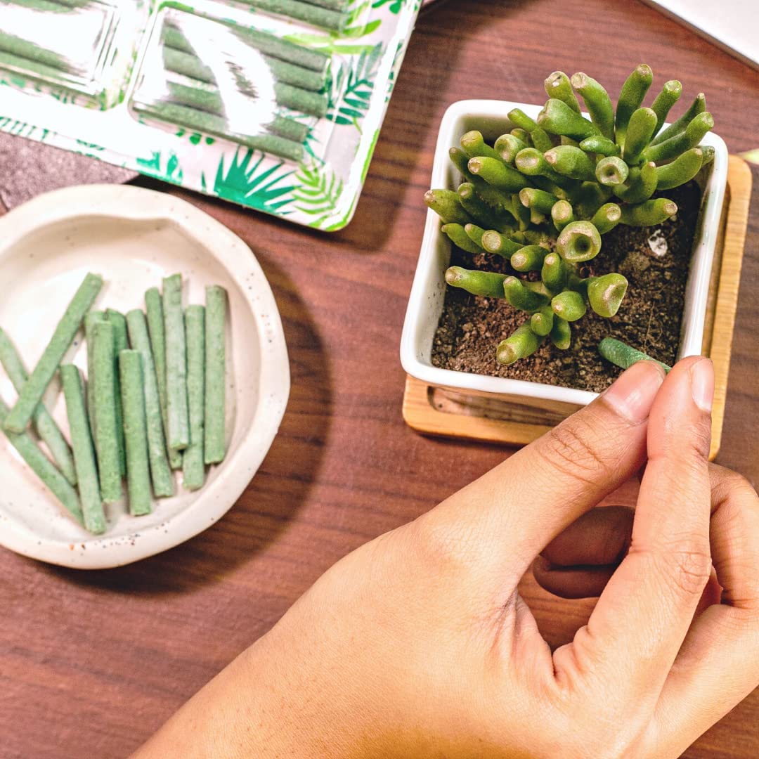 Lazy Gardener GreenStix Fertilizer Sticks | Plant Food for Indoor & Outdoor Home Garden Plants | Multi-Purpose Fertilizer Sticks, Natural Food for Plants (50 GreenStix) - Seeds Ville