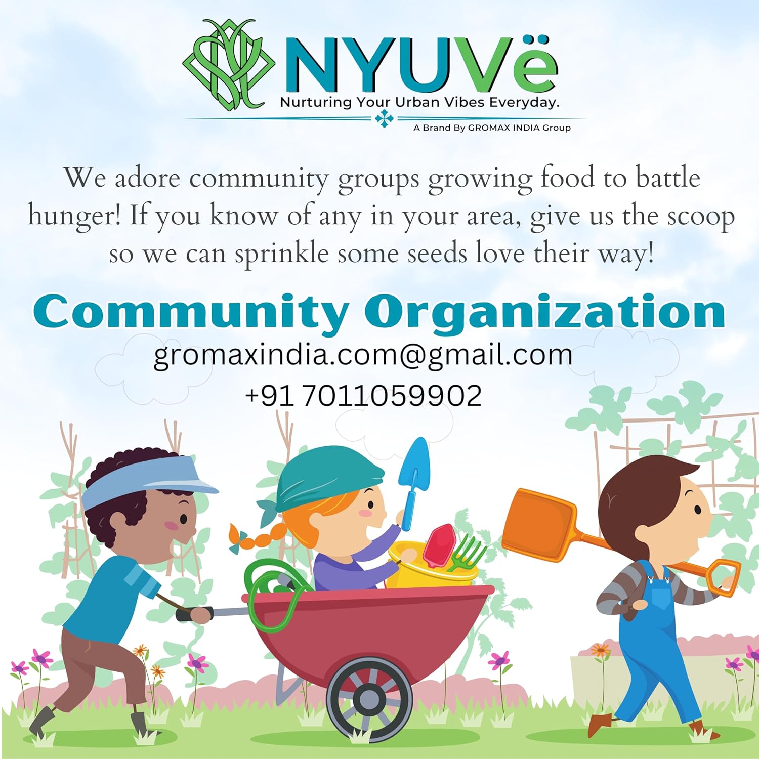 Squash Green zucchini Seed Hybrid Long Zuchhini Vegetable Seeds Best For Your Home Gardening - Seeds Ville