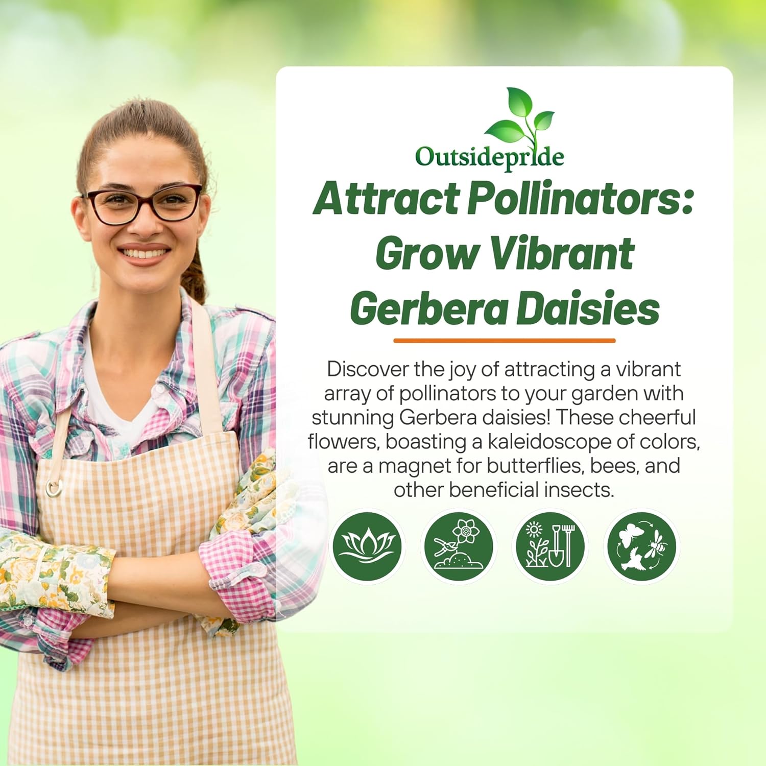 1 , A) 100 Seeds : Outsidepride Gerbera Mix - 100 Seeds - Seeds Ville