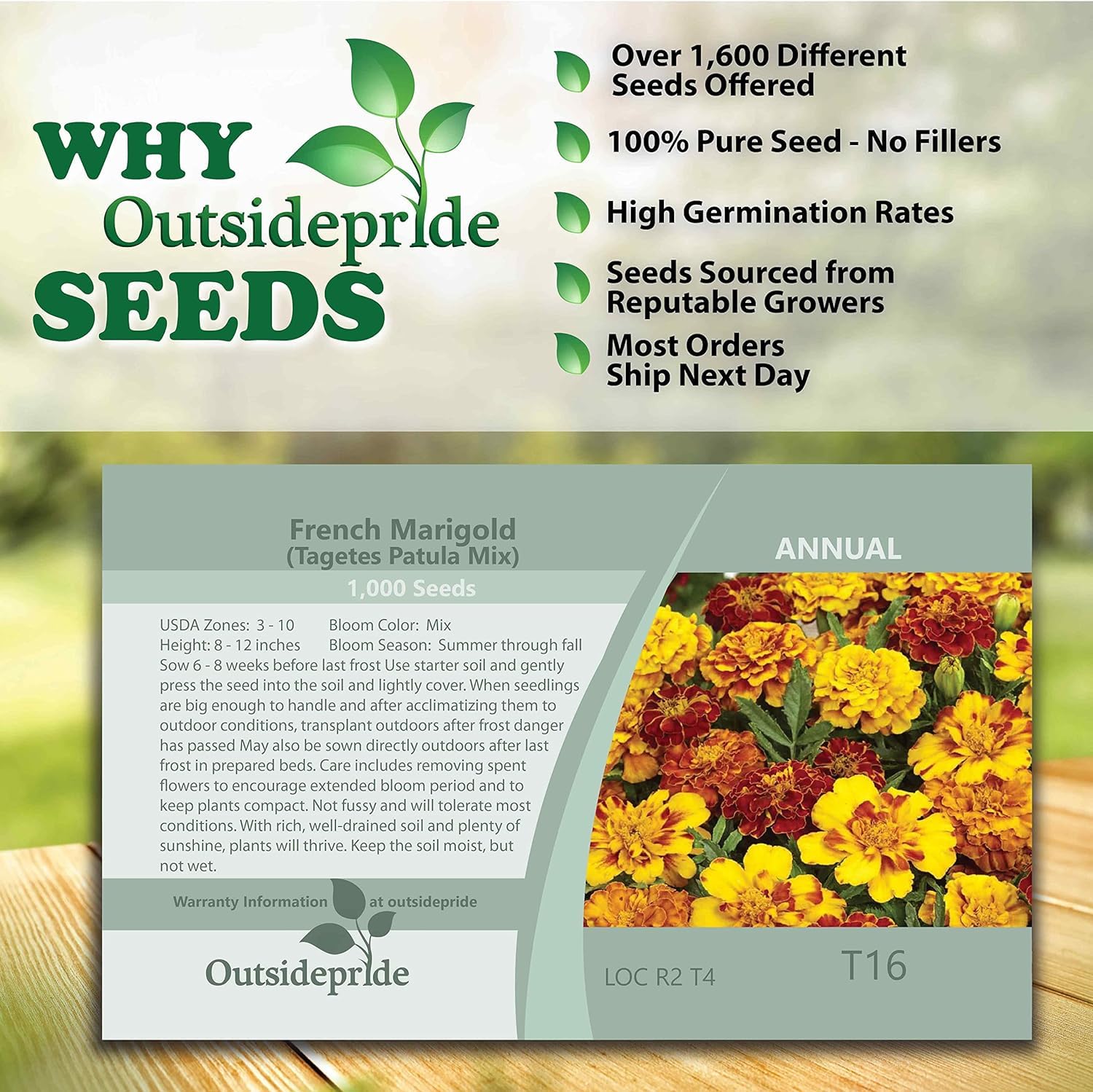 1000+ Seeds- Tagetes Patula French Marigold Garden Flower Seed Mix - Jumbo Pack - Seeds Ville