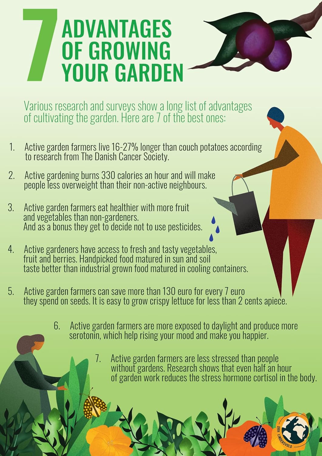 1000+ Seeds- Tagetes Patula French Marigold Garden Flower Seed Mix - Jumbo Pack - Seeds Ville