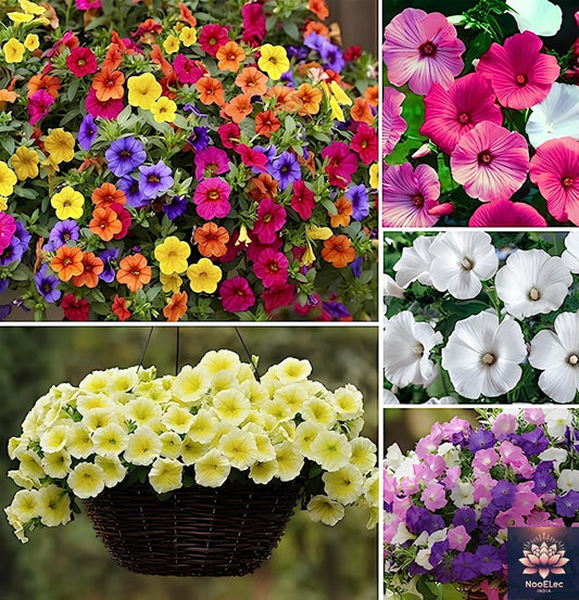 200+ Seeds- Petunia Perfection: Hybrid Seeds for Easy-to-Grow, Vibrant Flowers - Indoor, Outdoor, Year-Round - Seeds Ville