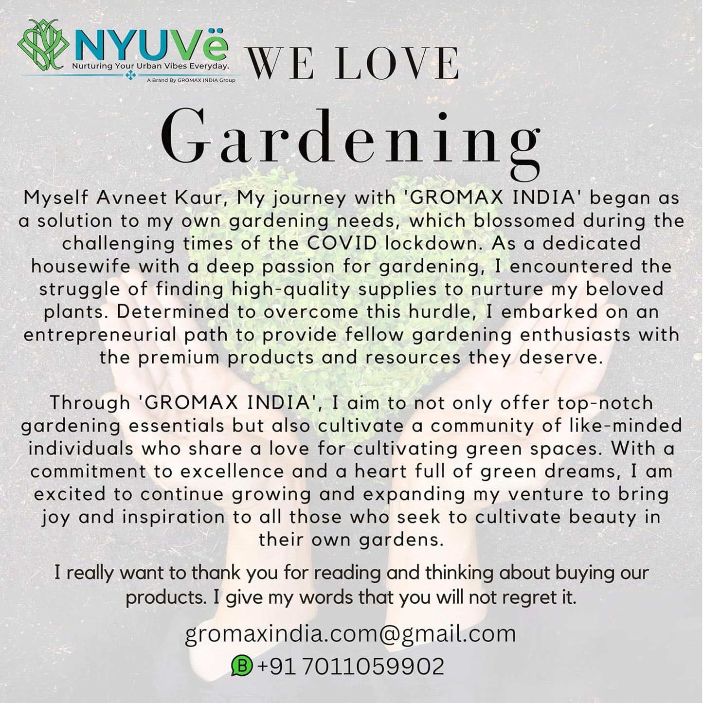 Squash Green zucchini Seed Hybrid Long Zuchhini Vegetable Seeds Best For Your Home Gardening - Seeds Ville