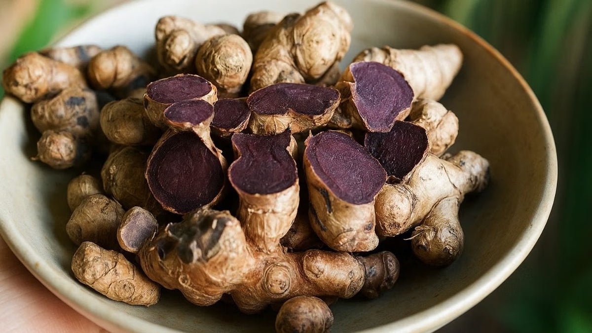 Seeds Ville Black Ginger Rare Medicinal Live Plant