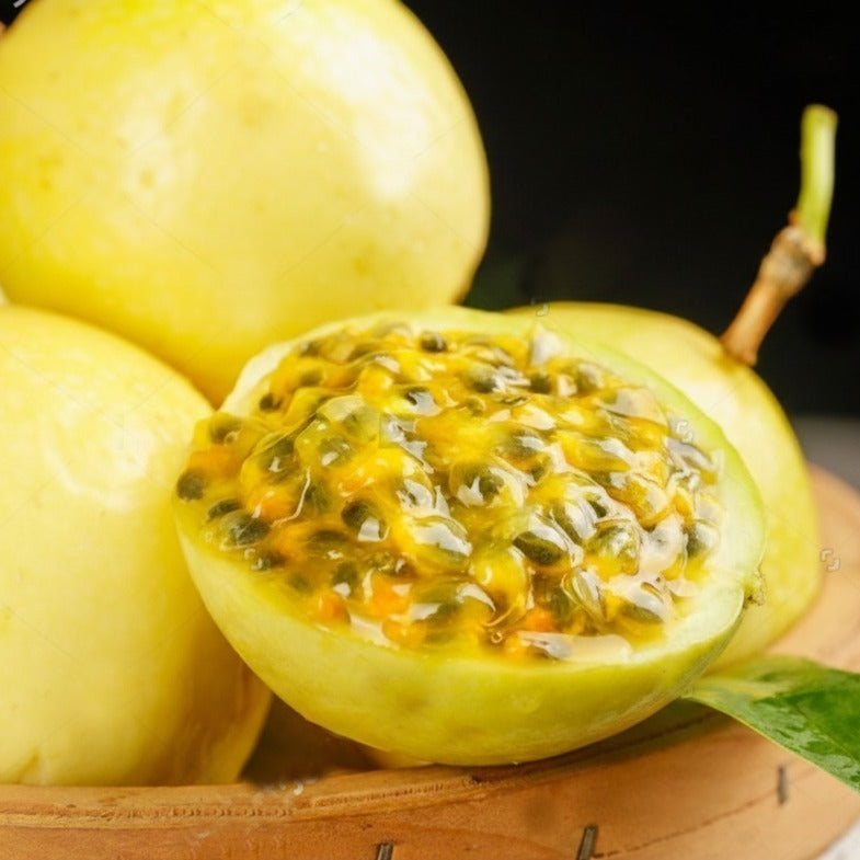 Seeds Ville Golden Passion Fruit Seedling Plant Passiflora Edulis