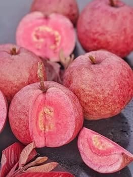Seeds Ville Indonesian Black Diamond Guava Fruit Plant