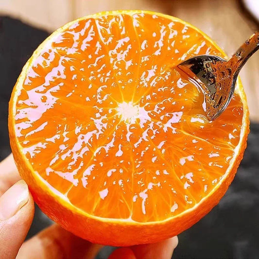 Organic Jelly Orange Seeds - Grow Your Own Sweet, Vibrant Citrus Fruit at Home