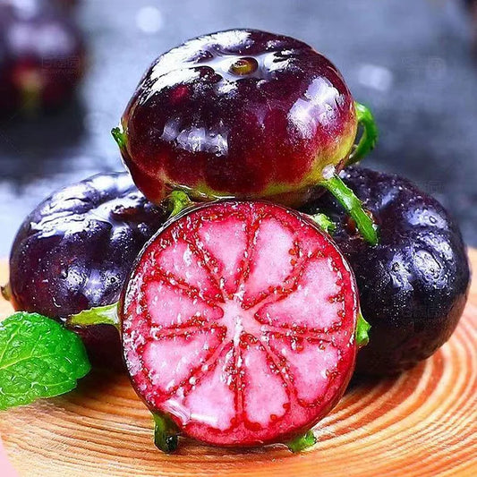 Premium Red Berry Ginseng Seeds: Easy-Grow Spider Fruit, Nutrient-Rich Garden Delight