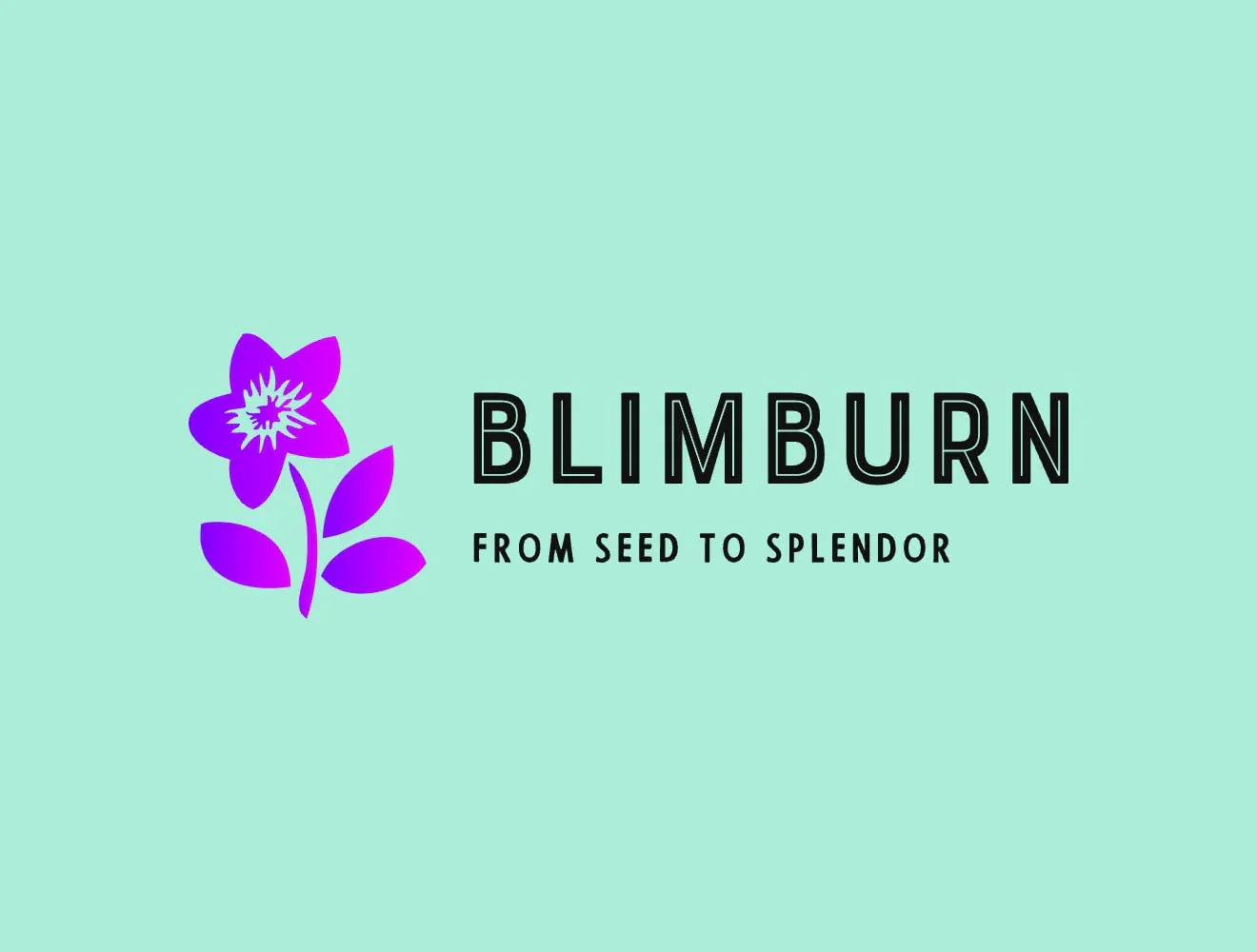 BlimBurn South India April-May Sowing Hybrid Flower Seeds Combo Pack- 10 Variety (500+ Seeds Pack) - Seeds Ville