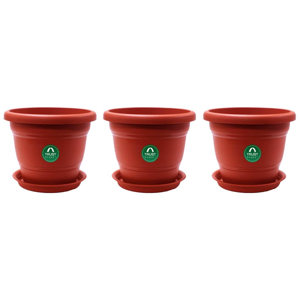 TrustBasket Terracotta pots with Bottom Plates - 3 Pcs (6 inch) | Gamla for Plants with Saucer | Pots and planters with Tray | Garden pots & Bottom Plates