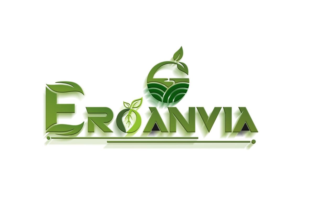 Avocado Frout Plant (Plant height 1.5-2.5 Feet) Butter Fruit - Plant Hybrid Hass Avocado Persea Americana Alligator Pear Butter Fruit Vena Ey Evokaido Phal Aveakkadea Phalam Rare Variety Tree