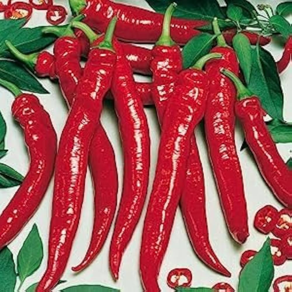 50 Seeds- Fire Hot Pepper Chilli Non GMO Heirloom Organic Seeds For Planting Kitchen Garden Pack - Seeds Ville