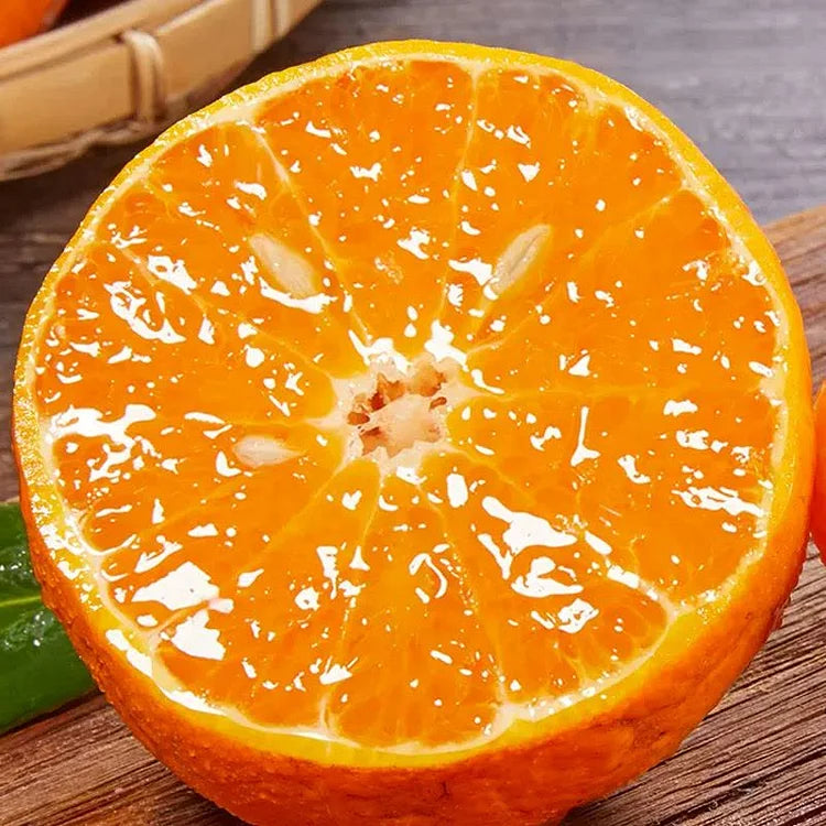 Organic Jelly Orange Seeds - Grow Your Own Sweet, Vibrant Citrus Fruit at Home