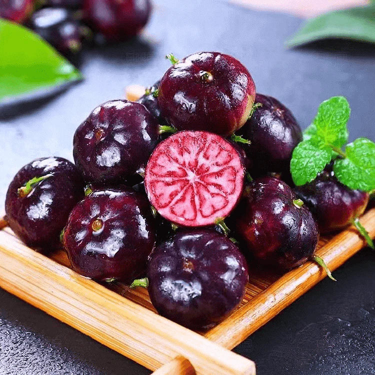 Premium Red Berry Ginseng Seeds: Easy-Grow Spider Fruit, Nutrient-Rich Garden Delight