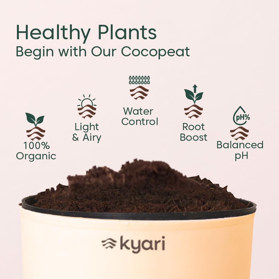 Seeds Ville 4 Indoor Plant Set Self-Watering Pots Cream