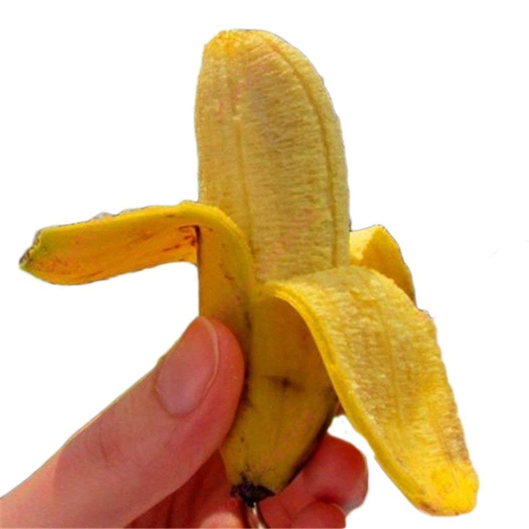 All Season Dwarf Banana Tree Seeds - Grow Indoor or Outdoor-30 seeds