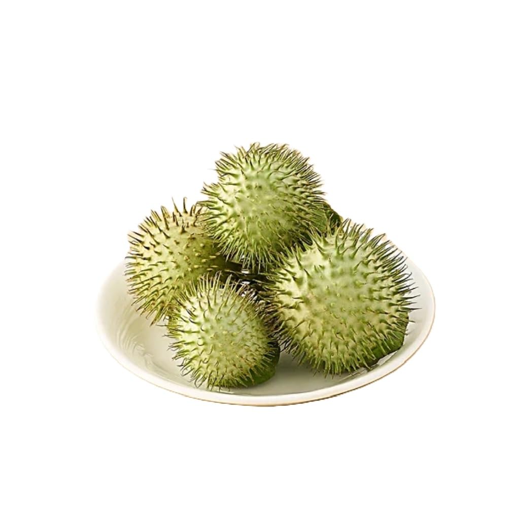 Fresh Dhatura Fruit 1pc