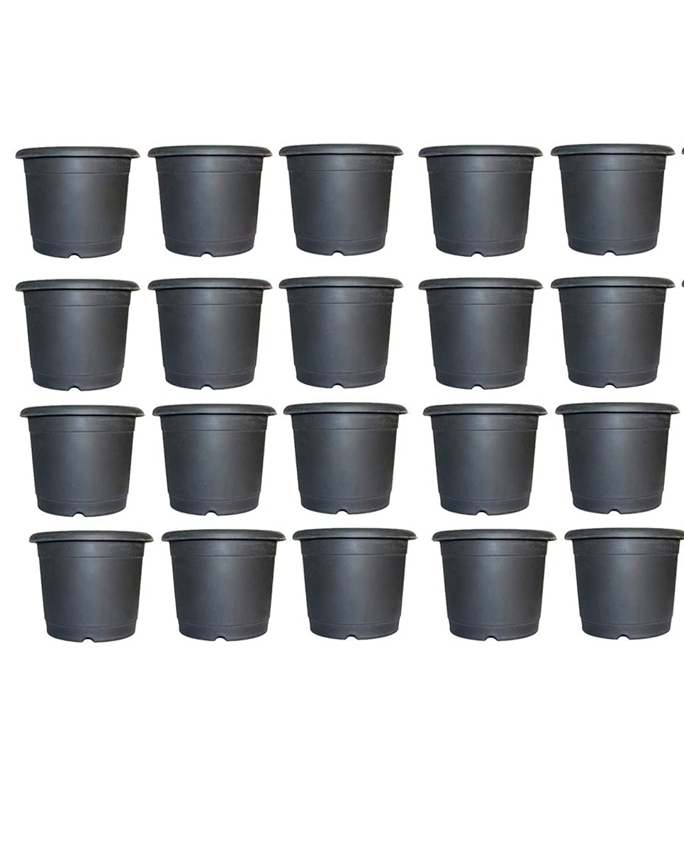 Leafy Tales Plastic Pots for Gardening,Nursery pots, Black Colour 4 inch Size, Pack of 30