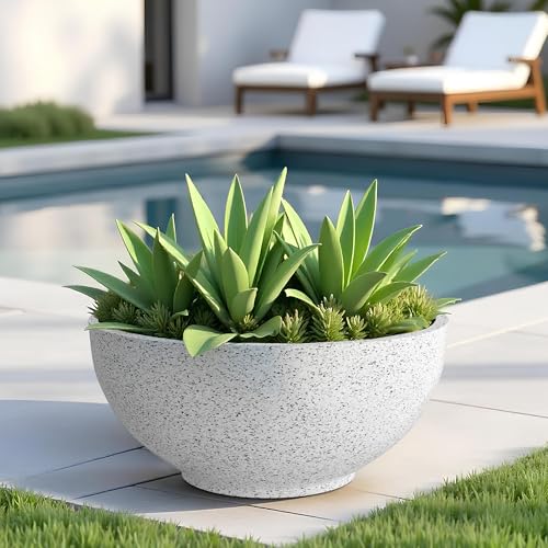 Seeds Ville FOXB KTR Durable Polymer Planter Pot