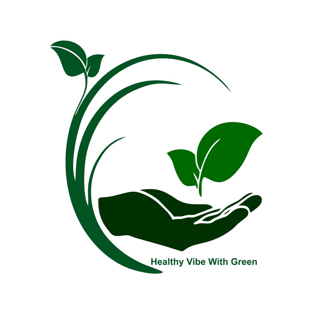 Cinnamomum Camphora Plant Kapoor Plant (Ocimum Sanctum) - Holy Basil Plant - Camphor Tree Plant