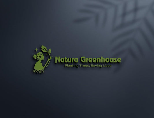 Live OriginalRed Sweet barbados Cherry Pack Of 1 Plant (Air Layering/Grafted) Live Plants & Tree (1-1.5 Ft Size) (Next Year Get Fruits)