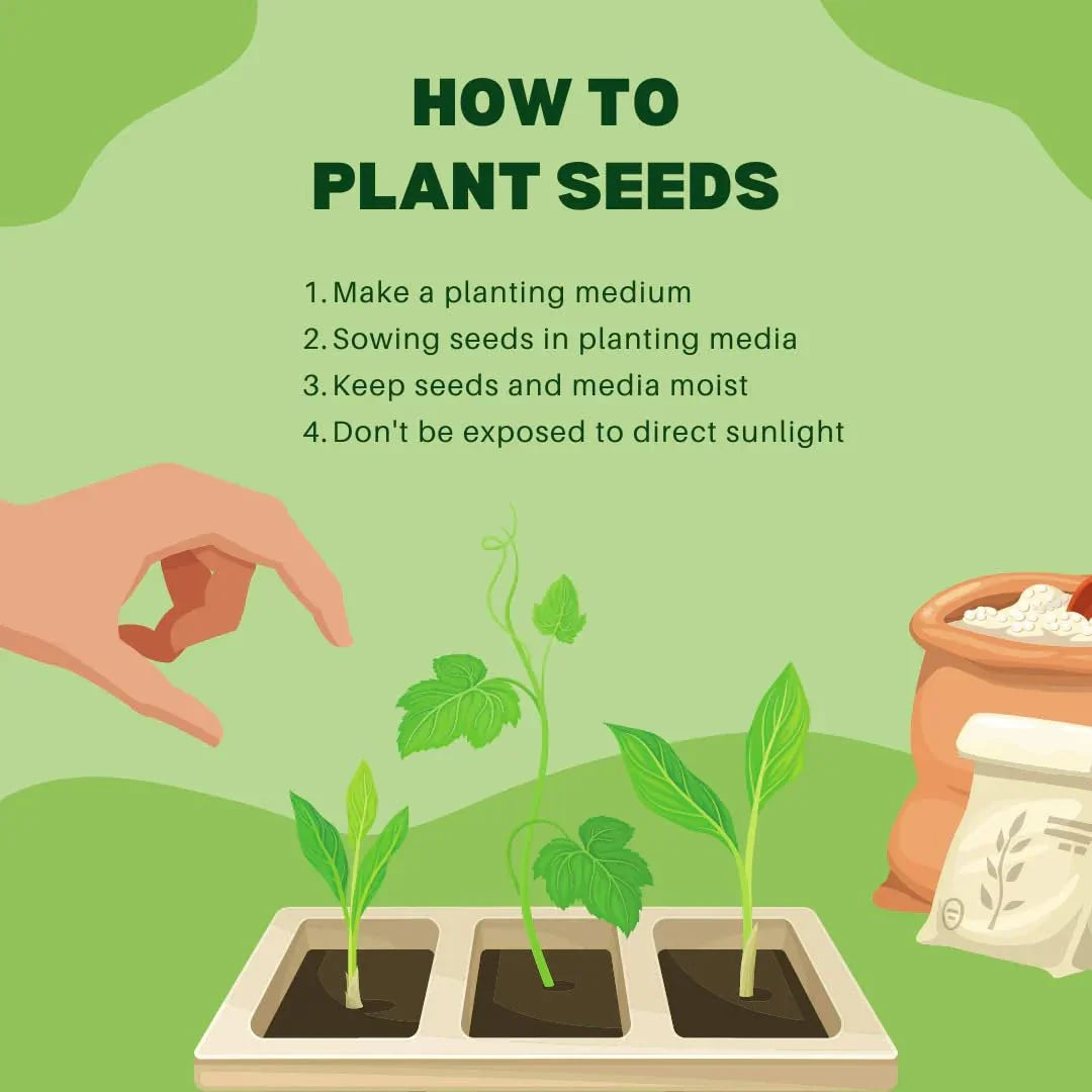 BlimBurn South India April-May Sowing Hybrid Flower Seeds Combo Pack- 10 Variety (500+ Seeds Pack) - Seeds Ville