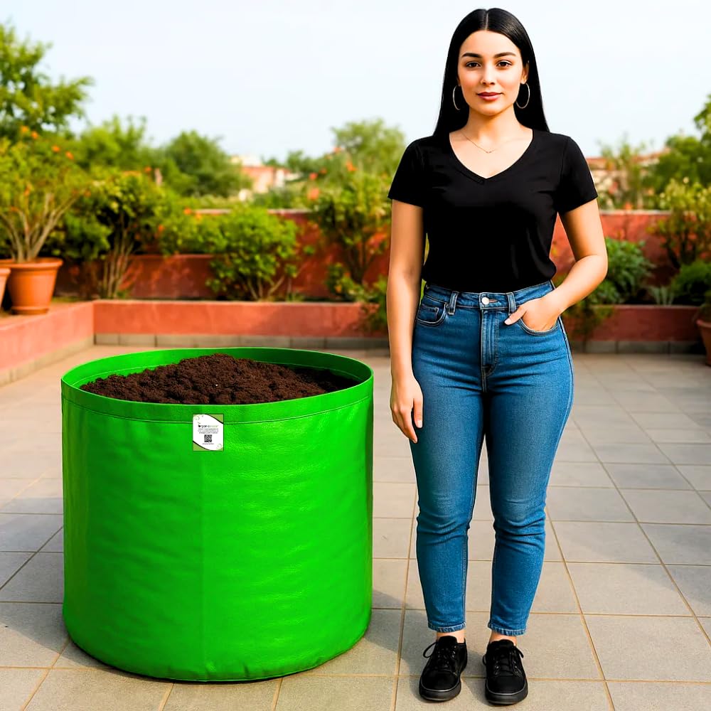 Seeds Ville HDPE Grow Bag for Fruit Trees 61x61 cm