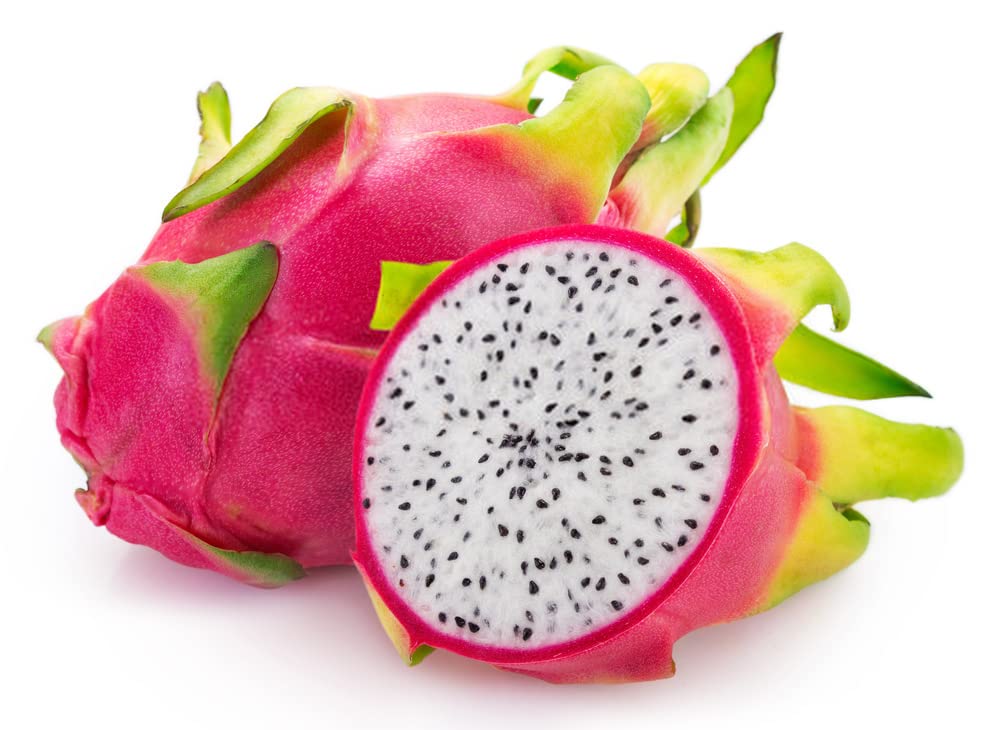 Dragon Fruit Combo Pack of All Three- 3 Varieties- Yellow Skin, Pink Skin but White Flesh and PinkSkin with Pink Flesh.. Hybrid Rooted Dragon Saplings. [V4]