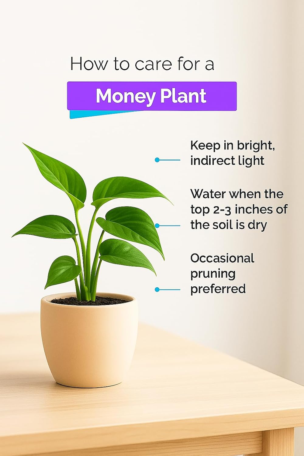 Seeds Ville Indoor Air Purifying Plant Combo Set of 3