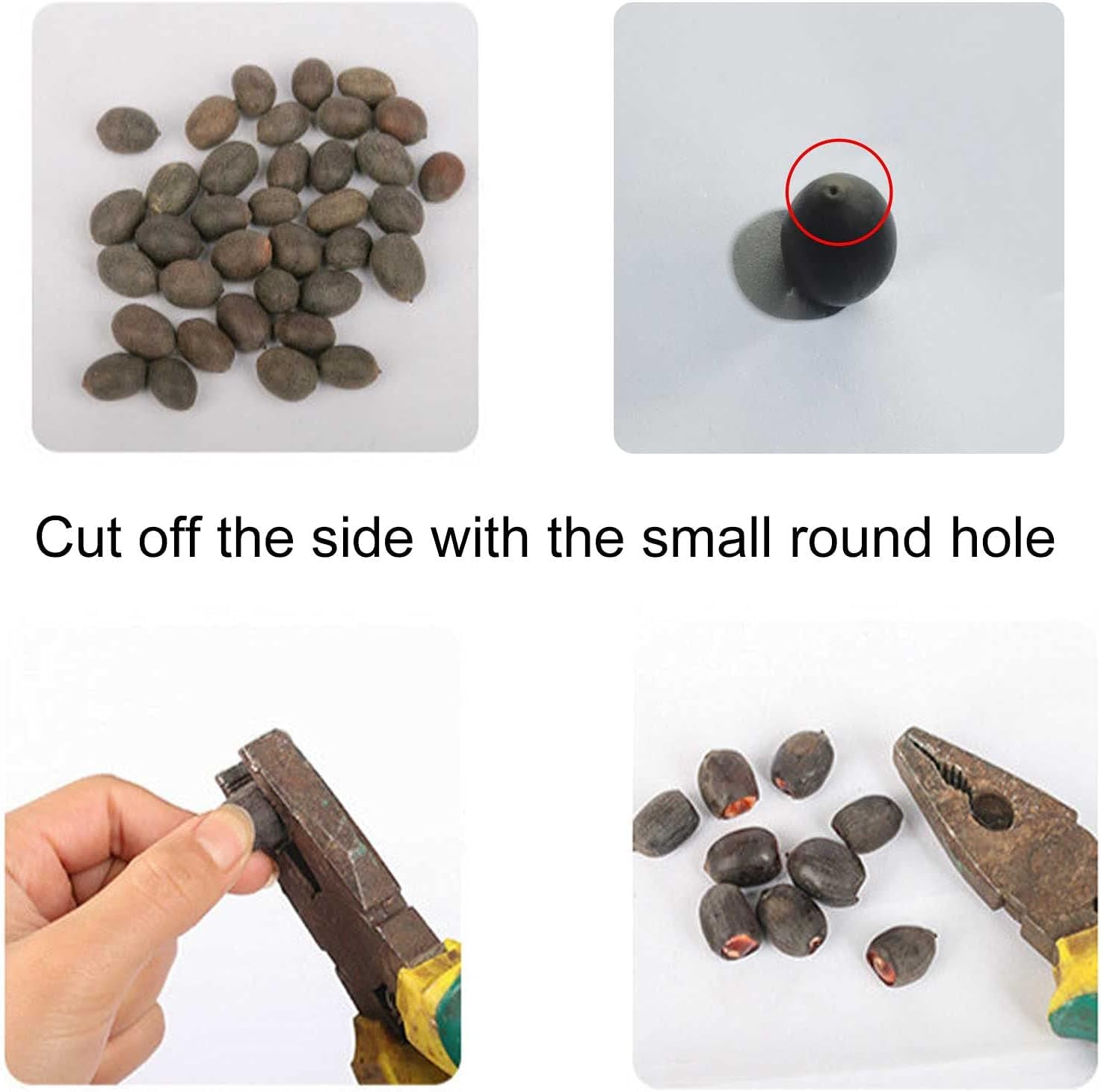 NooElec Seeds India 15+ Seeds- Bowl Lotus Seeds, Water Lily Flower Plant Seed Flowering Aquatic Fresh Garden Seeds - Seeds Ville