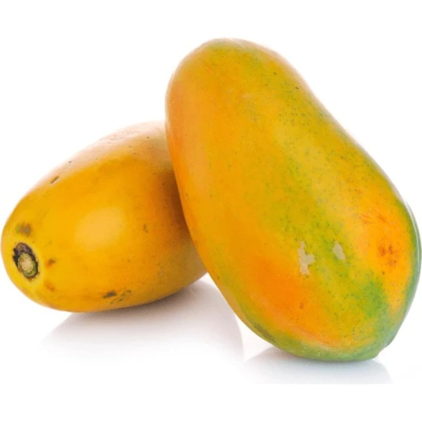 Live Papaya Plant – Sweet & Juicy Tropical Fruit Tree for Home Garden | Fast-Growing & High Yield (Mexican Papaya)