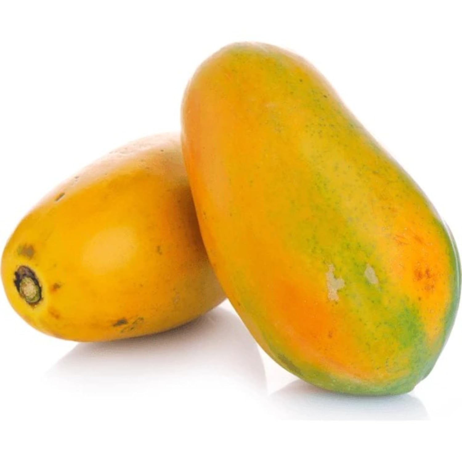 Live Papaya Plant – Sweet & Juicy Tropical Fruit Tree for Home Garden | Fast-Growing & High Yield (Mexican Papaya)