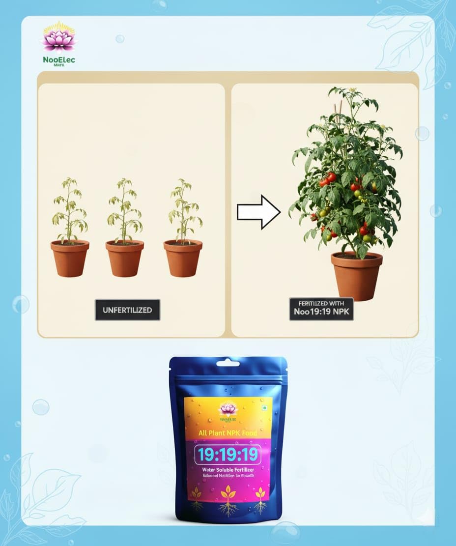 NPK 19-19-19 Plant Growth Booster - For Fruits, Vegetables & Flowers | 3X Results | No Leaf Burning & Plant Death Guaranteed. (250 Grams)