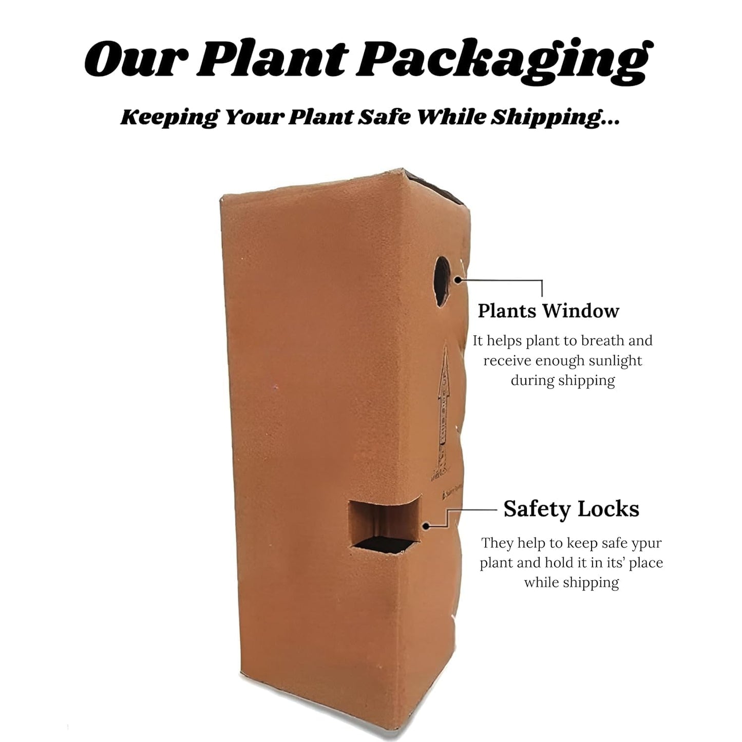 GROWHEAVEN™ Climbing Rose Plant With Pot, Live Fragrant Flowering Creeper for Garden (LIVE ROSE FLOWER PLANT) (ROSE PLANT) - Seeds Ville