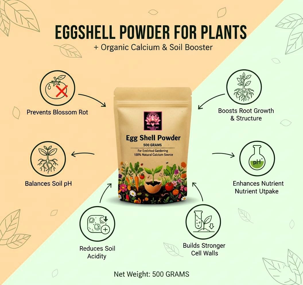 Eggshell Powder for Plants 500g – Organic Calcium Supplement & Soil Conditioner for Tomatoes, Vegetables, Roses, Flowering & Indoor Plants | Prevents Blossom-End Rot & Boosts Roots
