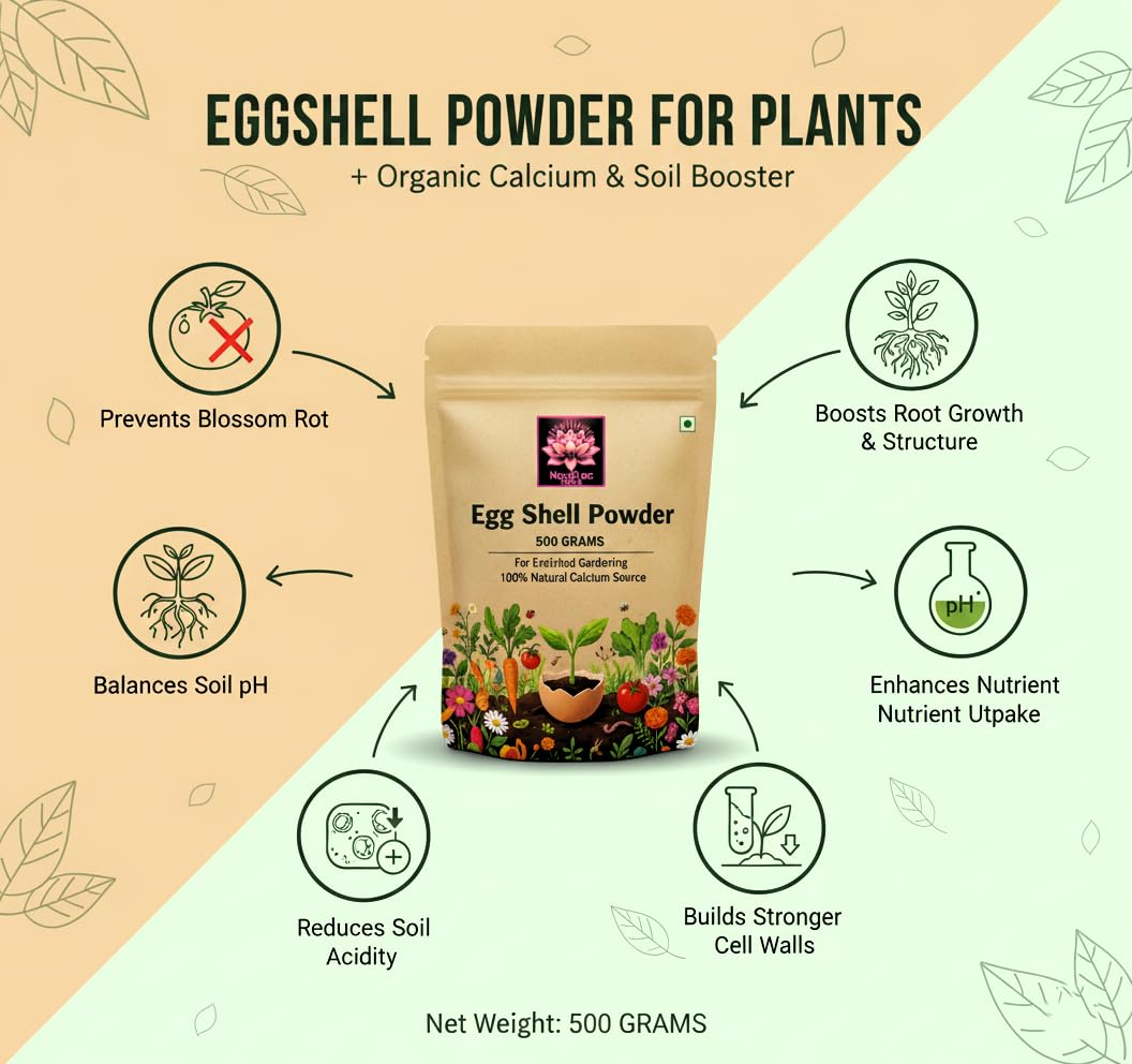 Eggshell Powder for Plants 500g – Organic Calcium Supplement & Soil Conditioner for Tomatoes, Vegetables, Roses, Flowering & Indoor Plants | Prevents Blossom-End Rot & Boosts Roots