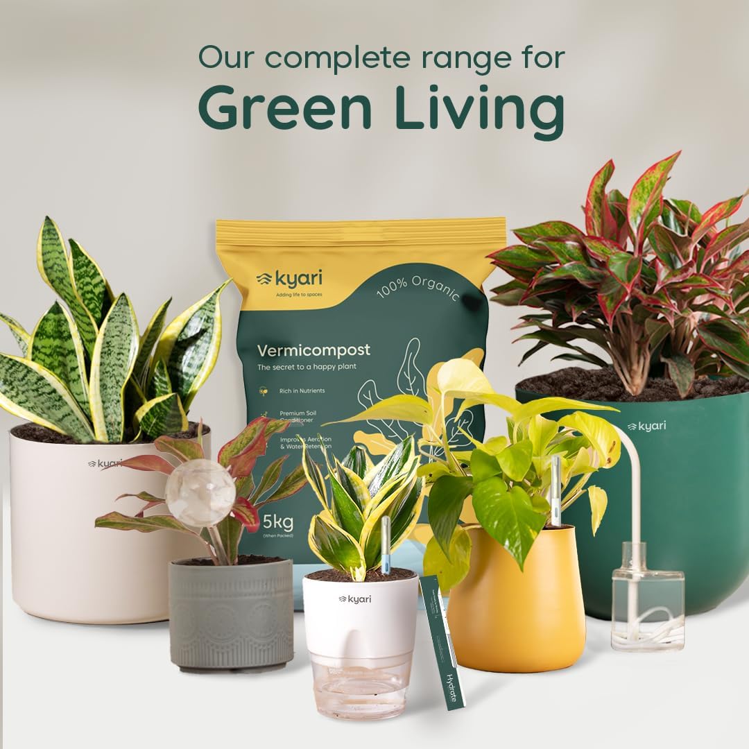 Seeds Ville 4 Indoor Plant Set Self-Watering Pots Cream