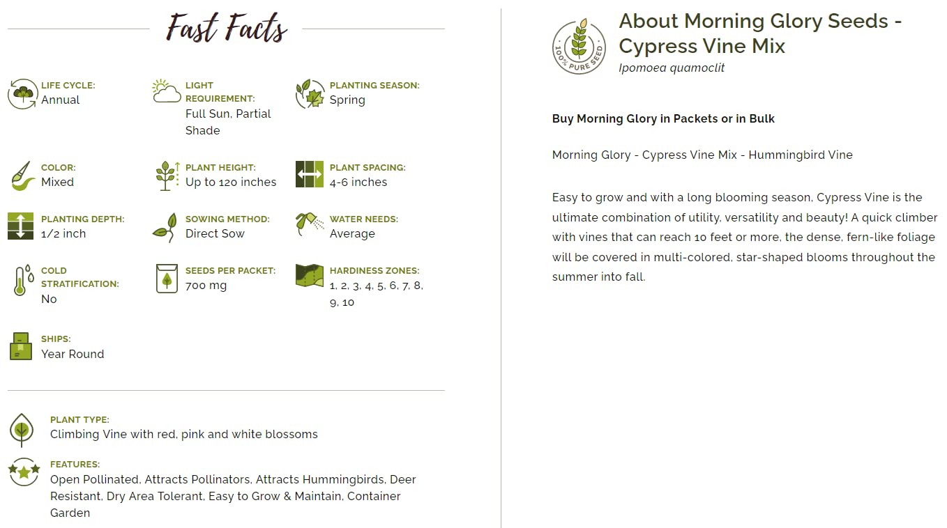 Hybrid Morning Glory Flower Seeds - Cypress Vine Mix - 25 Seeds Pack - Seeds Ville