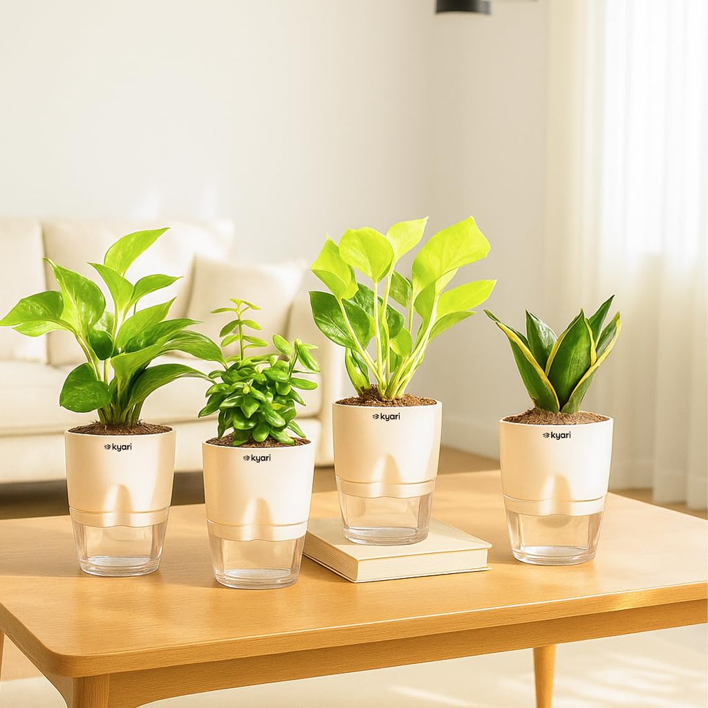 Seeds Ville 4 Indoor Plant Set Self-Watering Pots Cream